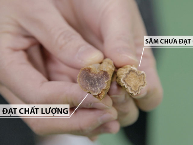 Cách nhận biết Hồng sâm củ khô Hàn Quốc chất lượng